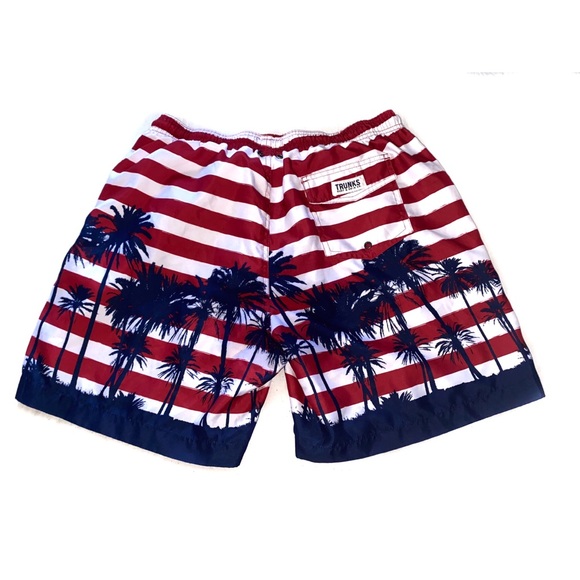 Trunks Surf & Swim Co Sano Swim Stripe Shorts- - Picture 4 of 16